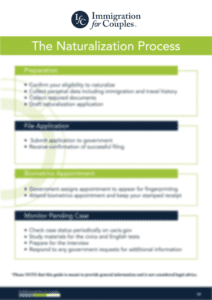 The Naturalization Process Blurred The Naturalization Process Blurred