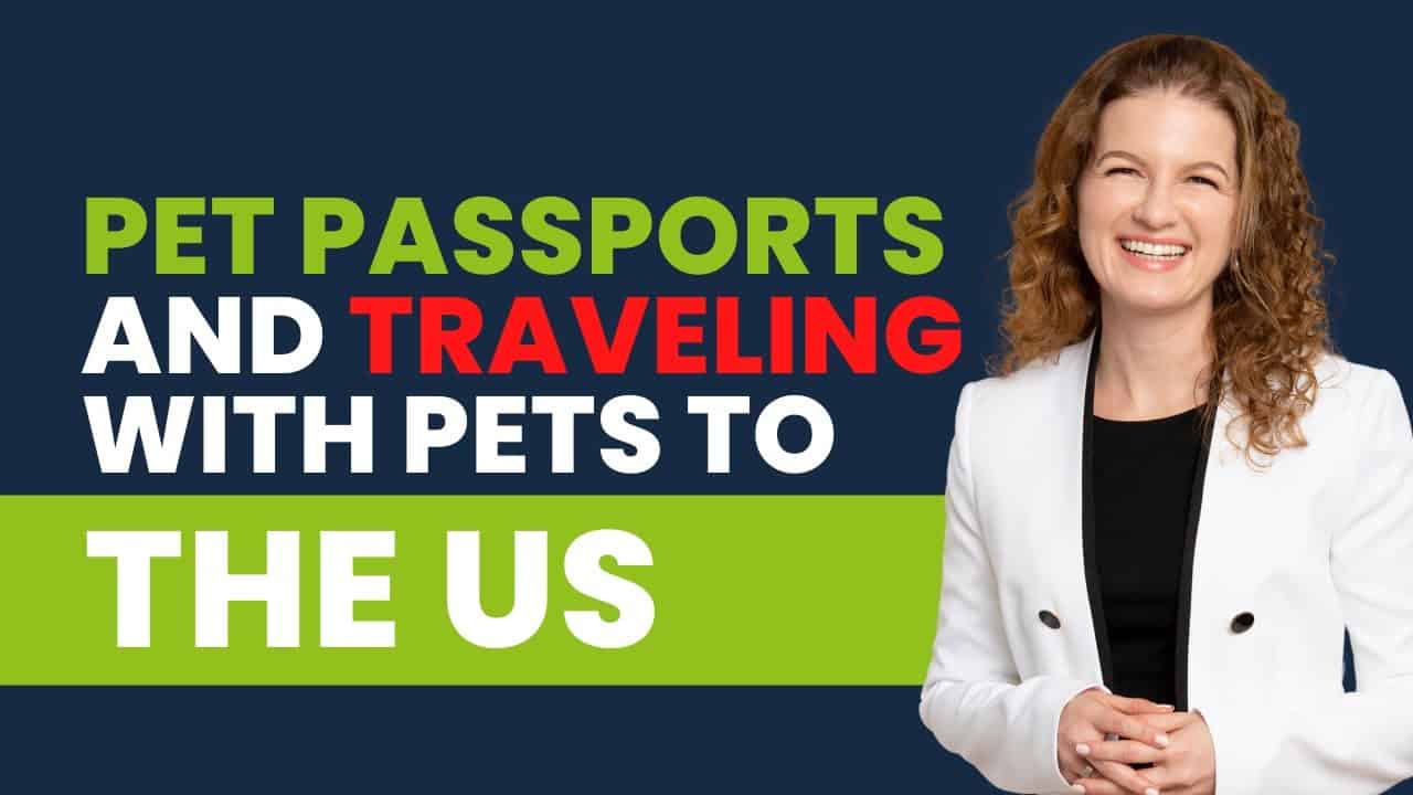 Pet Passports and Traveling With Pets to the US Immigration for Couples